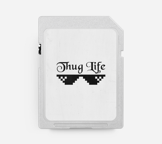 THUG LIFE - Melodic Drill Beat