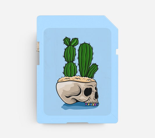 CACTUS - Country Trap Beat