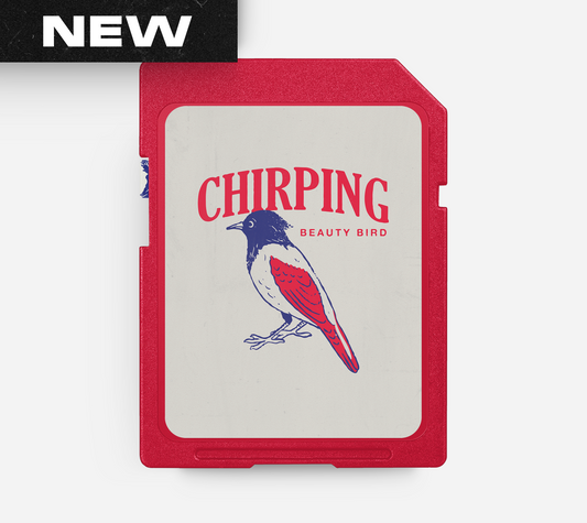 CHIRPING - Afrobeats Beat