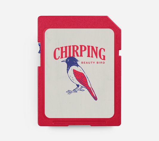 CHIRPING - Afrobeats Beat