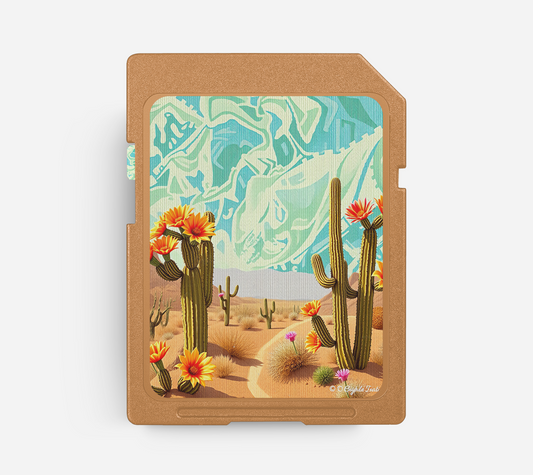 DESERT BLOOM - Country Pop Beat