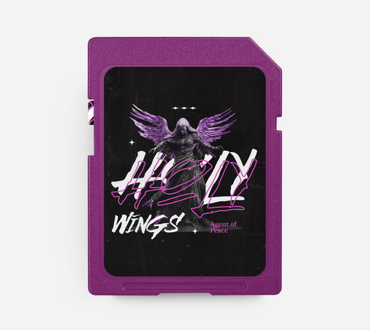 HOLY WINGS - Afrobeats Beat