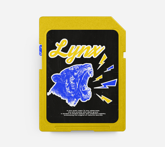 LYNX - Emotional Drill Beat