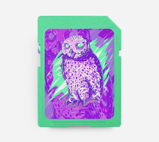 NIGHTOWL - Emotional Trap Beat