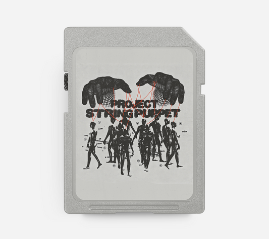 STRING PUPPET - Soulful Boom Bap Beat & Hook