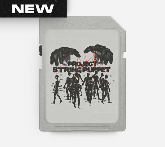 STRING PUPPET - Soulful Boom Bap Beat & Hook