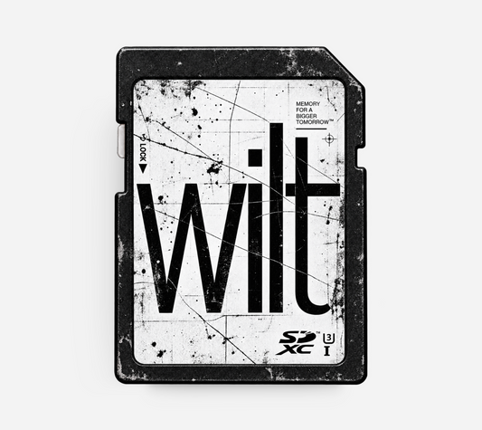 WILT - Lofi Trap Beat